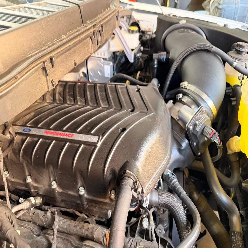 S&B Cold Air Intake | 2015+ Ford F150 5.0L w/ Gen 6 Whipple Stage 1/Stage 2 Supercharger/Ford Performance FP700 Package