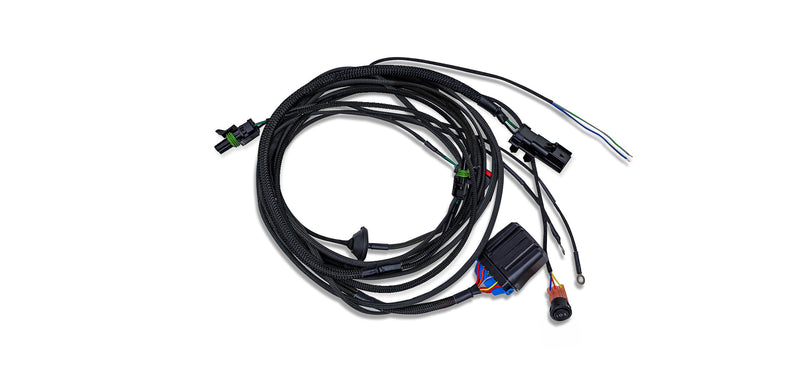 AEV Rear Bumper Auxiliary Light Harness | 2019+ Chevrolet Silverado and GMC Sierra