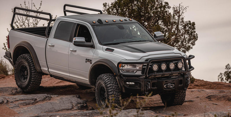 AEV Brush Guard | 2019+ Ram HD